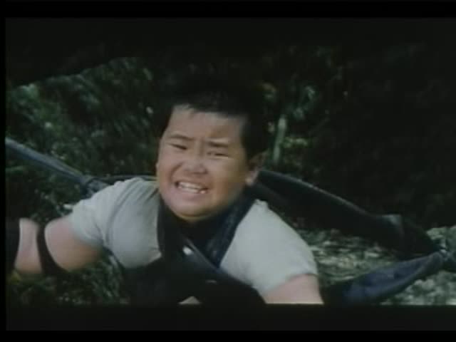 日韩美女va在线毛片免费知 - 国产剧影视在线观看