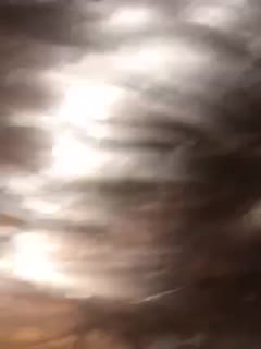 野花韩国视频免费观看神马