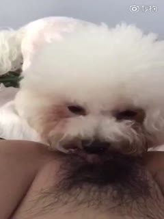 国产人成无码视频在线