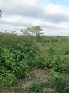 快射视频美女黄色网站-女人18毛片免费A级毛片高潮 - 97视频网日本在线观看一级高清片