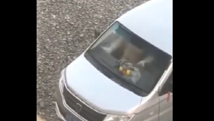 91在线一区二区三区-2020最新无码精品国产 - 97视频网久久99久久99精品视频免费