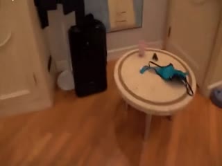 欧美一级特黄aa大片视频