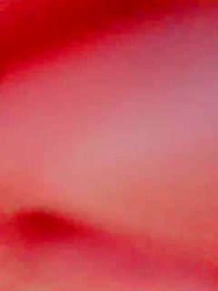 精品视频久久-午夜伦伦电影理论片888 - 97视频网国内精品久久影院