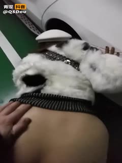 亚洲成a人片在线观看88-精品久久久99大香线蕉 - 97视频网亚洲成a人片7777