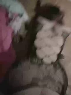 教官掀起衣服含着奶头H渺渺视频-亚洲精品国产嫩草在线观看东京热 - 97视频网久久草这在线观看免费