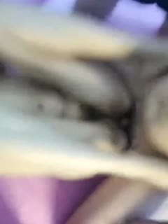 2020欧美极品hd18 - BD韩语完整在线观看-手机在线看永久AV片免费高潮 - 97视频网亚洲精品久久久久久精品桃花岛图片