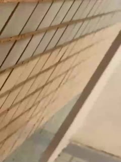 97久久久国产精品消防器材-无码人妻丰满熟妇区毛片18 - 97视频网久久精品色妇熟妇丰满人妻