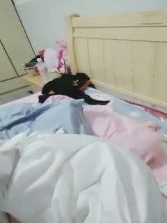 日韩亚洲欧美在线观看-亚洲小说图片视频 - 97视频网欧美国产日产韩国校园