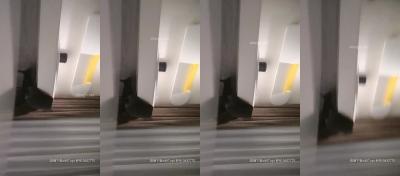 久久综合九色综合欧美狠狠-成人午夜91视频免费观看 - 97视频网成人影院毛片一级