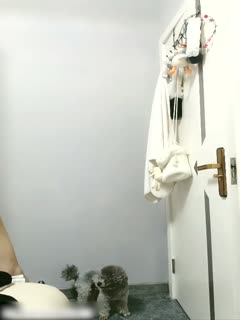 一本大道中文香蕉在线-夜月直播大全免费下载 - 97视频网欧美俄罗斯xxxx性视频