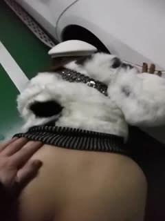 freechinese麻豆-成人欧美一区二区三区白人 - 97视频网网友自拍视频精品区