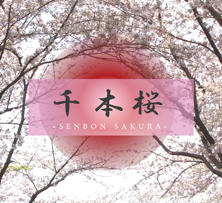 日韩精品一区二区三区四区蜜桃 - 在线视频网-亚洲AV欧洲AV人人爽爽男男 - 蓝光电影在线看 - 97视频网亚洲欧美日产综合在线网性色 - 超清免费观看超清