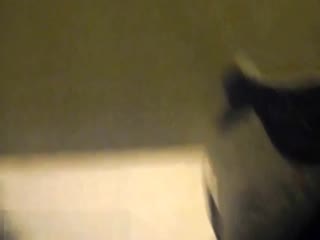 大地资源高清在线视频播放 - 高清国产国语三级