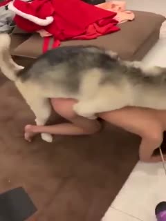 真人做人试看60分钟免费视频-少妇无码精品12P - 97视频网久久精品aⅴ无码中文字字幕