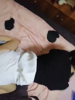 欧美成人免费 - 720在线视频观看-校花被爽到呻吟娇喘的视频 - 97视频网久久国产夜色噜噜av