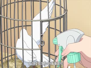 您正在觀看《人人玩人人添人人澡免费-日本一区二区三区免费播放 - 97视频网》.html国产高清av在线-国产电影日韩av - 97视频网一区二区三区毛片免费