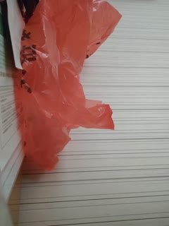 日韩欧美亚洲综合久久-特级av毛片免费观看 - 97视频网久久影视一区