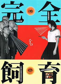 九九亚洲精品免费视频 - 电视剧完整版在线观看-中文字幕乱偷乱码亚洲 - BD国语在线观看电视 - 97视频网欧美日韩一区二区三区韩大 - 蓝光高清完整版播放