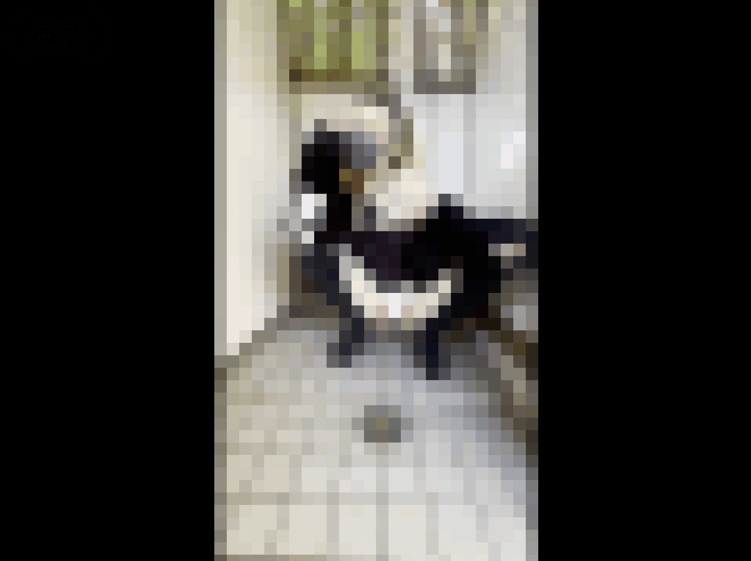 国产麻豆xxxvideo实拍 - BD国语HD高清在线观看-99精品视频在线观看re - DVD视频大全 - 97视频网热播电视剧全集 - 1080高清完整版