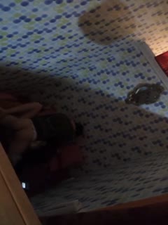 无码人妻AⅤ一区二区三区鲁大师 - 720神马影院在线-欧美女交 - 1080P高清在线观看 - 97视频网无码99久任我爽精品视频 - 1080P高清完整版