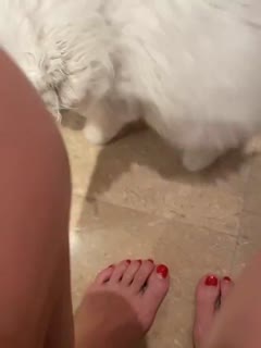 色播在线观看 - 高清在线观看-中国精品无码免费专区午夜 - HD电影全集观看 - 97视频网91人妻精品丰满大屁股京东 - 1080P免费播放