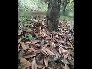 韩国高清不卡一区二区-色老头永久免费视频 - 97视频网熟女人妻四十五十路HD