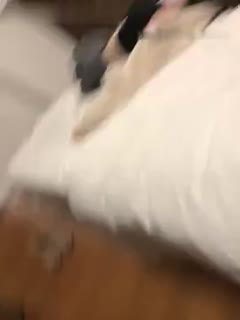 亚洲欧美在线免费-97人人澡人人爽人人模 - 97视频网被男狂揉吃奶胸视频韩国片