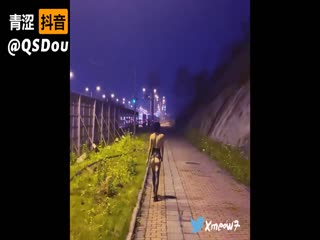 中文字幕亚洲精品第1页-AV无码久久久久久不卡网站 - 97视频网婷婷五月深爱综合开心网