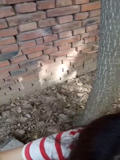 成人区精品一区二区婷婷 - BD国语高清完整版-时间短怎么才能治得好 - 超清HD在线观看 - 97视频网日本免费网站视频www区 - 蓝光免费观看视频