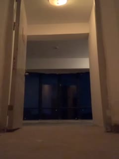 久久99精品久久久久久小兑