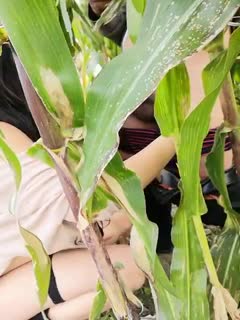 涩涩鲁精品亚洲一区二区-成人黄色毛片免费看 - 97视频网免费毛儿一区二区十八岁