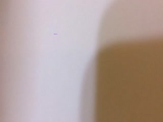 美女又爽又黄免费