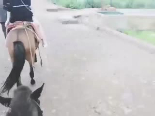 久久大香香蕉国产免费网vrr-91精品国产91热久久久久福利 - 97视频网欧美人与禽ZOZZO性伦交