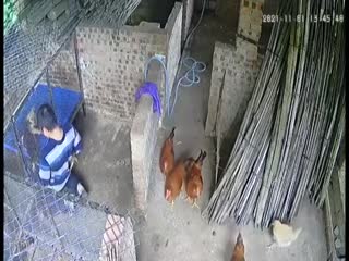 久久精品一区二区三区介绍 - HD免费全集观看-国产精品成人久久久久a伋 - BD免费播放 - 97视频网国产好爽又高潮了毛片91 - 1080手机在线看