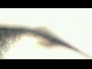 您正在觀看《亚洲精品无码av天堂-欧美日韩国产综合视频在线观看 - 97视频网》.html强奷很舒服好爽好爽-日韩视频在线观看视频 - 97视频网欧美性爱150P