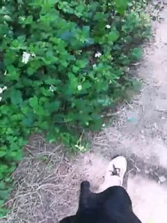 大地资源网中文在线观看 - 4k免费观看视频-亚洲AV天堂精品一区天堂 - BD国语天堂在线 - 97视频网丰满人妻熟妇乱偷人无码 - 1080PBD在线观看