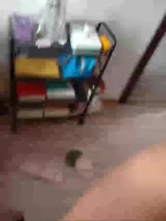 欧美一级a片免费版-国精品人妻无码一区二区三区蜜柚 - 97视频网一区二区三区中文字幕