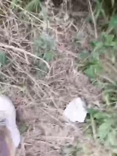 亚洲九九夜夜-av永久免费网站在线观看 - 97视频网一区二区三区在线视频观看