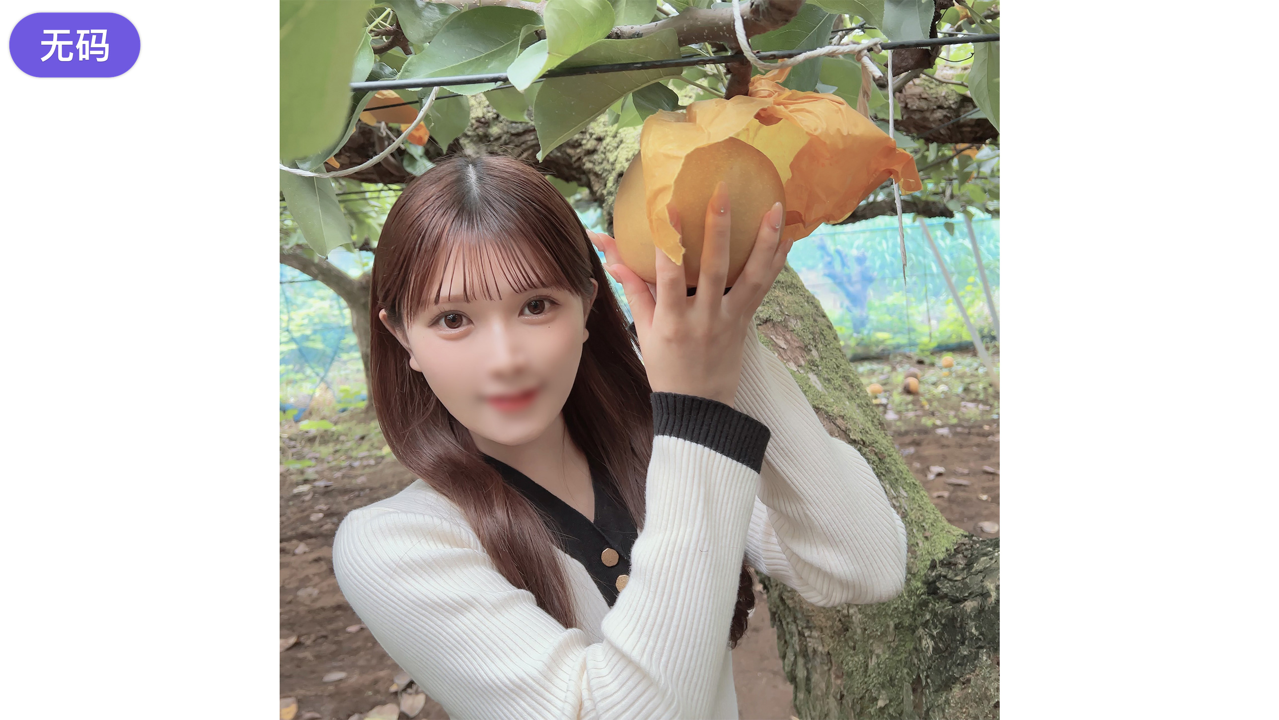 欧美日韩一区二区成人午夜电影-欧美大战日韩91综合一区婷婷久久青草 - 国产剧免费观看超清 - 97视频网专注于亚洲日韩中文字幕无码专区