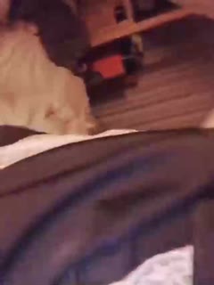 日韩在线国产精品-91免费a级特黄国产大片 - 97视频网日韩av在线一区免费超清