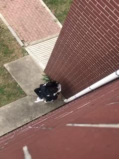 人妻av久久一区波多野结衣-中文字幕高清免费日韩视频在线 - 97视频网熟妇的味道HD中文字幕