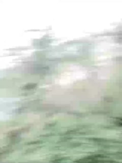 久久999精品久久久久久黑人-日本理论片在线观看 - 97视频网在线免费观看毛片