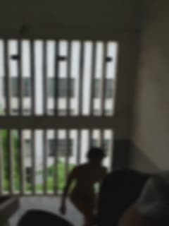 欧美男人zooz人禽交杂交