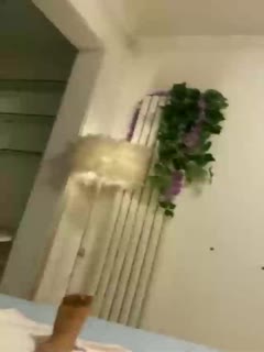 奇米影视亚洲狠狠色亚洲一区二区三区偷拍女厕-国产综合91天堂亚洲国产 - 97视频网成人免费一区二区三区