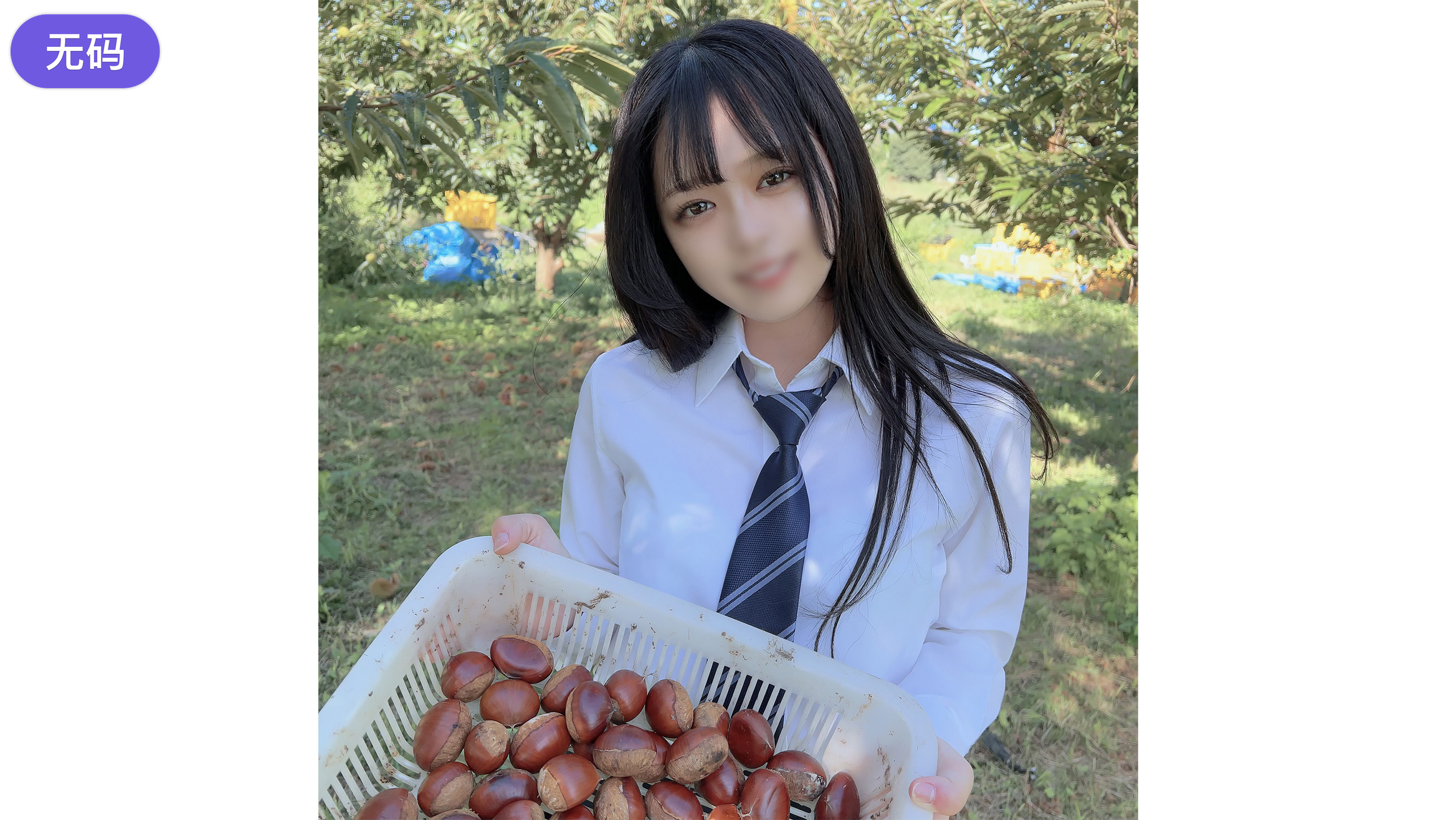 美国一级片