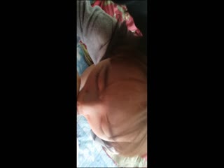 日本阿v免费费视频完整版-国内偷拍2019在线偷拍视频 - 97视频网亚洲1卡2卡三卡4卡