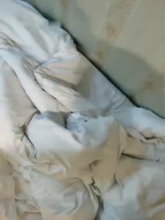 91短视频下载污-91青青草原黄网免费在线观看 - 97视频网日韩欧美精品精品