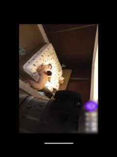 欧洲美熟女乱av在-亚洲熟妇av日韩熟妇在线 - 97视频网